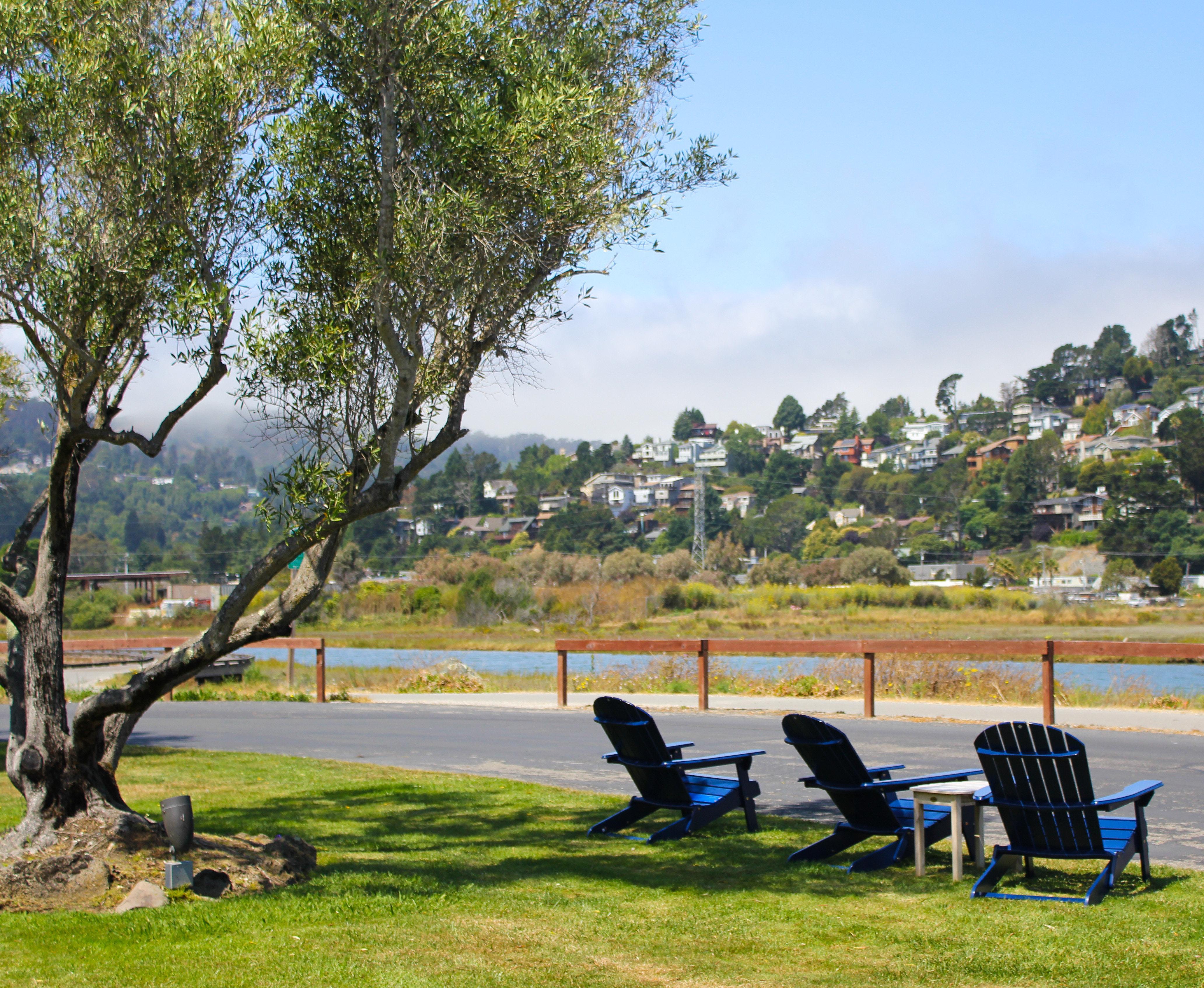 Holiday Inn Express Mill Valley San Francisco Area By Ihg Екстер'єр фото